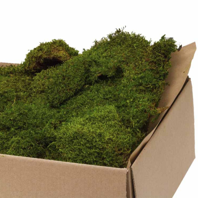 flatt moss