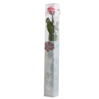 PRZ1420-05-rosa-tallo-standard